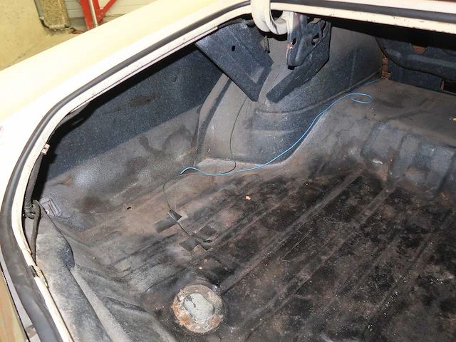 Buick veldleeuwerik - afbeelding 32 van  76