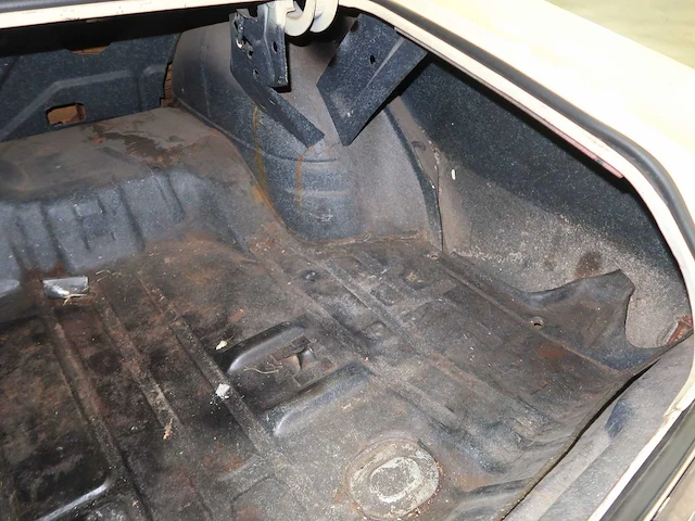 Buick veldleeuwerik - afbeelding 33 van  76