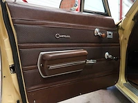 Buick veldleeuwerik - afbeelding 34 van  76