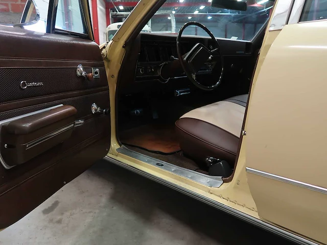 Buick veldleeuwerik - afbeelding 35 van  76