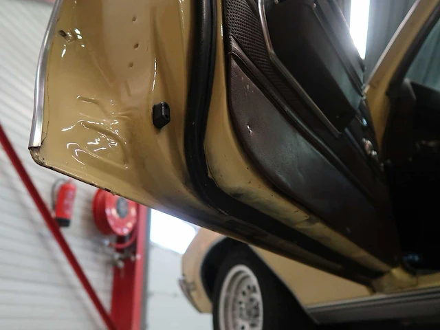 Buick veldleeuwerik - afbeelding 36 van  76