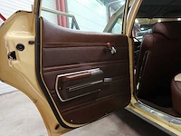 Buick veldleeuwerik - afbeelding 37 van  76