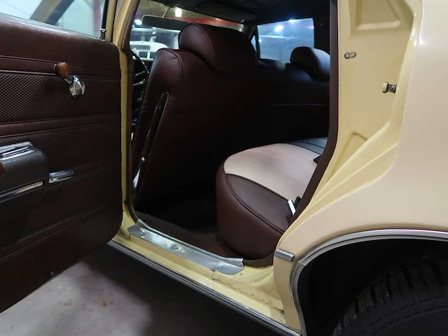 Buick veldleeuwerik - afbeelding 38 van  76