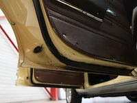 Buick veldleeuwerik - afbeelding 39 van  76