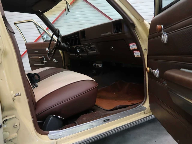Buick veldleeuwerik - afbeelding 41 van  76