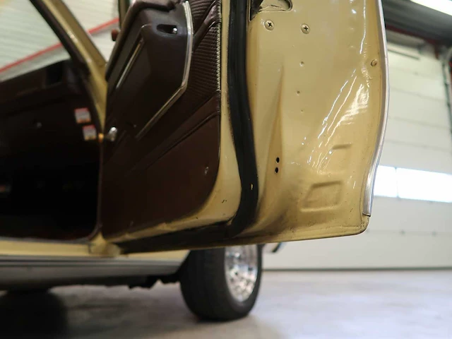 Buick veldleeuwerik - afbeelding 42 van  76