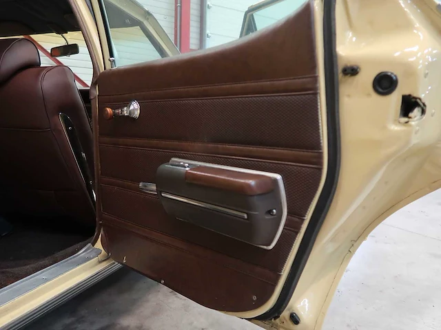 Buick veldleeuwerik - afbeelding 43 van  76
