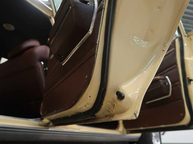Buick veldleeuwerik - afbeelding 45 van  76