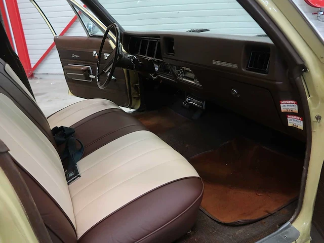 Buick veldleeuwerik - afbeelding 46 van  76