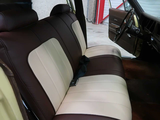 Buick veldleeuwerik - afbeelding 47 van  76