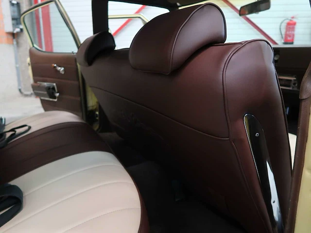 Buick veldleeuwerik - afbeelding 49 van  76