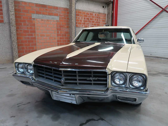 Buick veldleeuwerik - afbeelding 4 van  76
