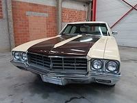 Buick veldleeuwerik - afbeelding 4 van  76