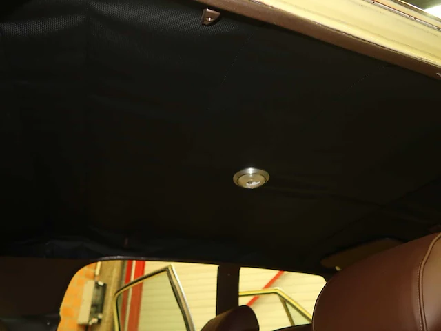 Buick veldleeuwerik - afbeelding 50 van  76