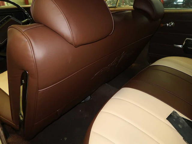 Buick veldleeuwerik - afbeelding 51 van  76