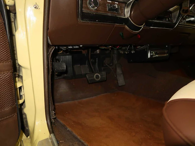 Buick veldleeuwerik - afbeelding 53 van  76