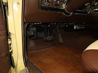 Buick veldleeuwerik - afbeelding 53 van  76