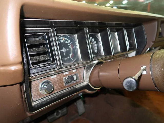 Buick veldleeuwerik - afbeelding 54 van  76