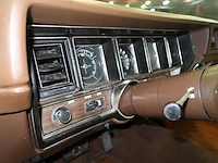 Buick veldleeuwerik - afbeelding 54 van  76