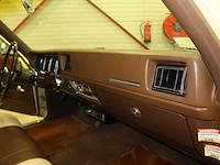 Buick veldleeuwerik - afbeelding 55 van  76
