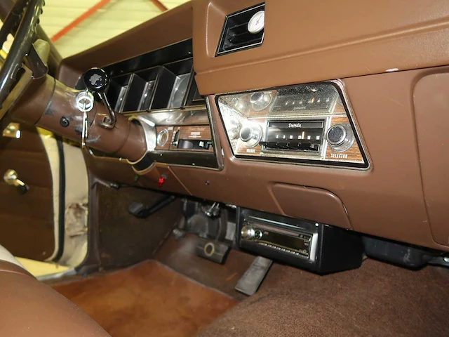 Buick veldleeuwerik - afbeelding 57 van  76