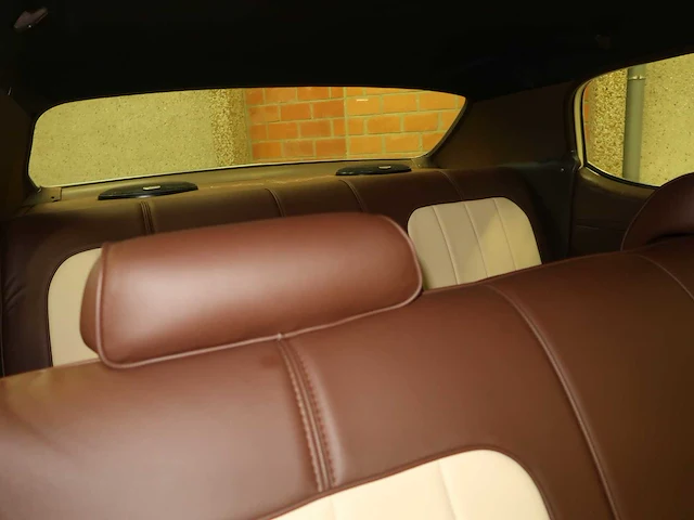 Buick veldleeuwerik - afbeelding 58 van  76