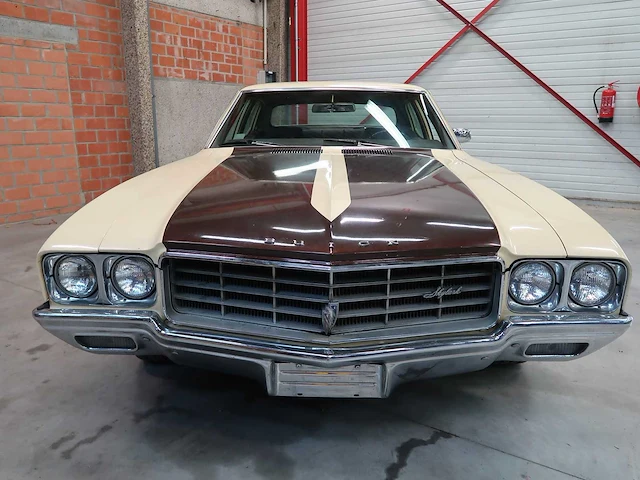 Buick veldleeuwerik - afbeelding 5 van  76