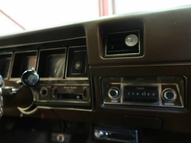 Buick veldleeuwerik - afbeelding 60 van  76