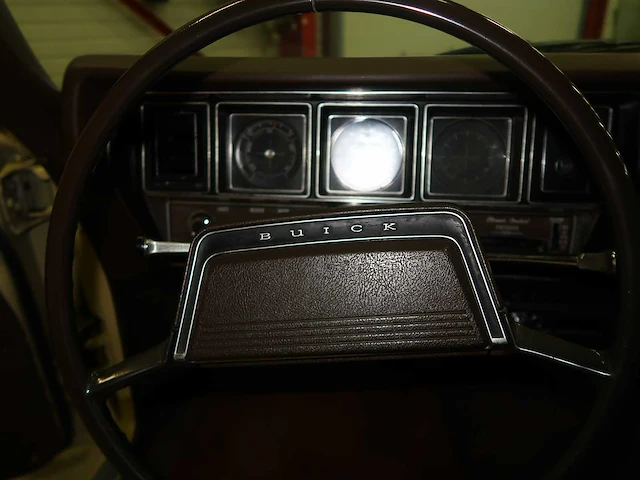Buick veldleeuwerik - afbeelding 61 van  76