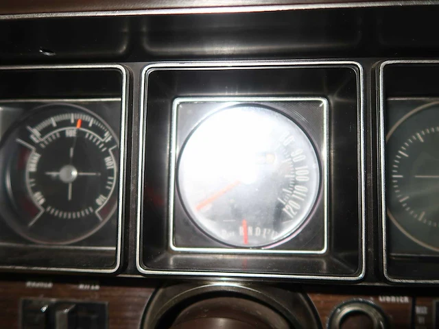 Buick veldleeuwerik - afbeelding 62 van  76