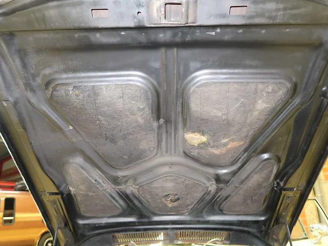 Buick veldleeuwerik - afbeelding 66 van  76