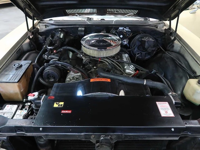 Buick veldleeuwerik - afbeelding 67 van  76