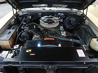 Buick veldleeuwerik - afbeelding 67 van  76