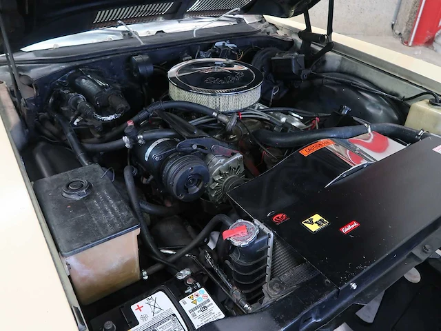 Buick veldleeuwerik - afbeelding 68 van  76