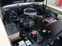 Buick veldleeuwerik - afbeelding 68 van  76