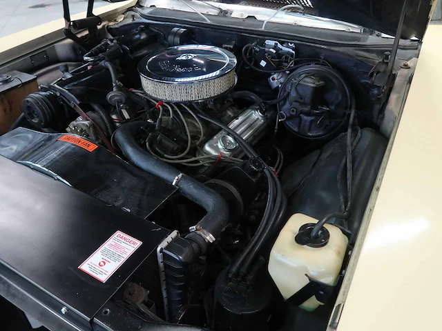 Buick veldleeuwerik - afbeelding 69 van  76