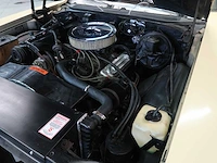 Buick veldleeuwerik - afbeelding 69 van  76
