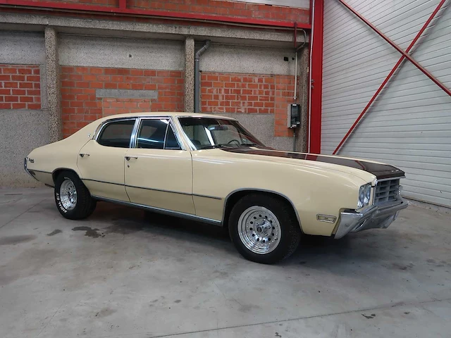 Buick veldleeuwerik - afbeelding 6 van  76