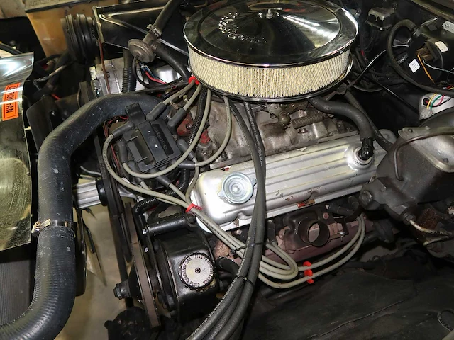 Buick veldleeuwerik - afbeelding 70 van  76