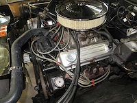 Buick veldleeuwerik - afbeelding 70 van  76