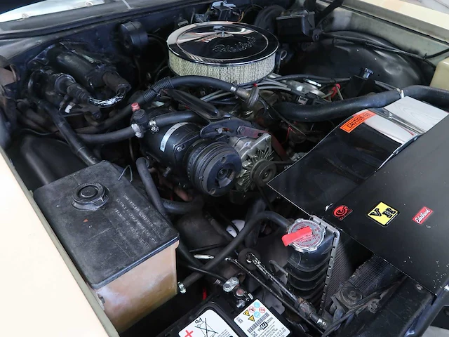 Buick veldleeuwerik - afbeelding 71 van  76
