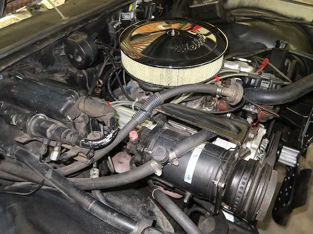 Buick veldleeuwerik - afbeelding 72 van  76