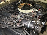 Buick veldleeuwerik - afbeelding 72 van  76