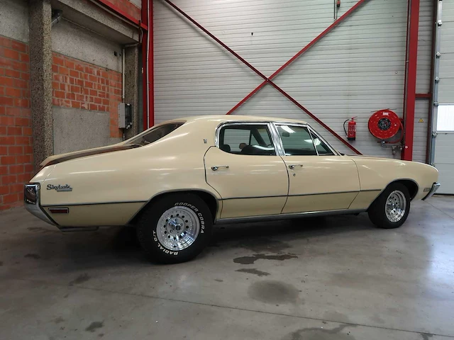 Buick veldleeuwerik - afbeelding 9 van  76