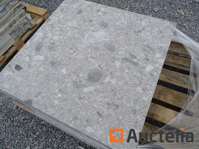 Buiten tegel 75 x75 cm - afbeelding 1 van  7
