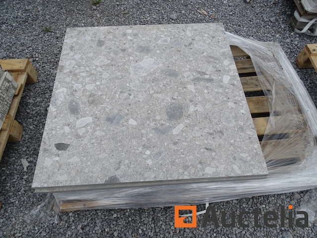 Buiten tegel 75 x75 cm - afbeelding 4 van  7