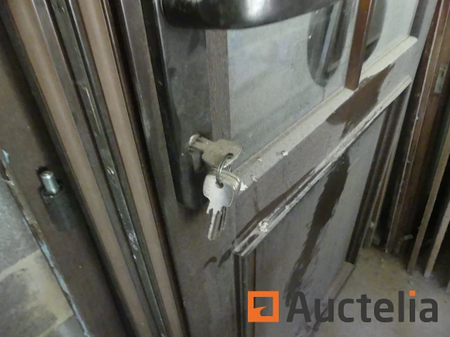 Buitendeur met dubbele beglazing - afbeelding 1 van  4
