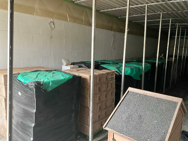 Bulk 25.280 2020 enviroglove r45 multifunctionele wegwerphandschoenen / - afbeelding 8 van  10