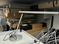 Bureellamp u-line designed bij maarten van serveren - afbeelding 1 van  1