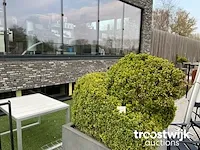 Buxus in kip vorm in polystone bloembak - afbeelding 1 van  1